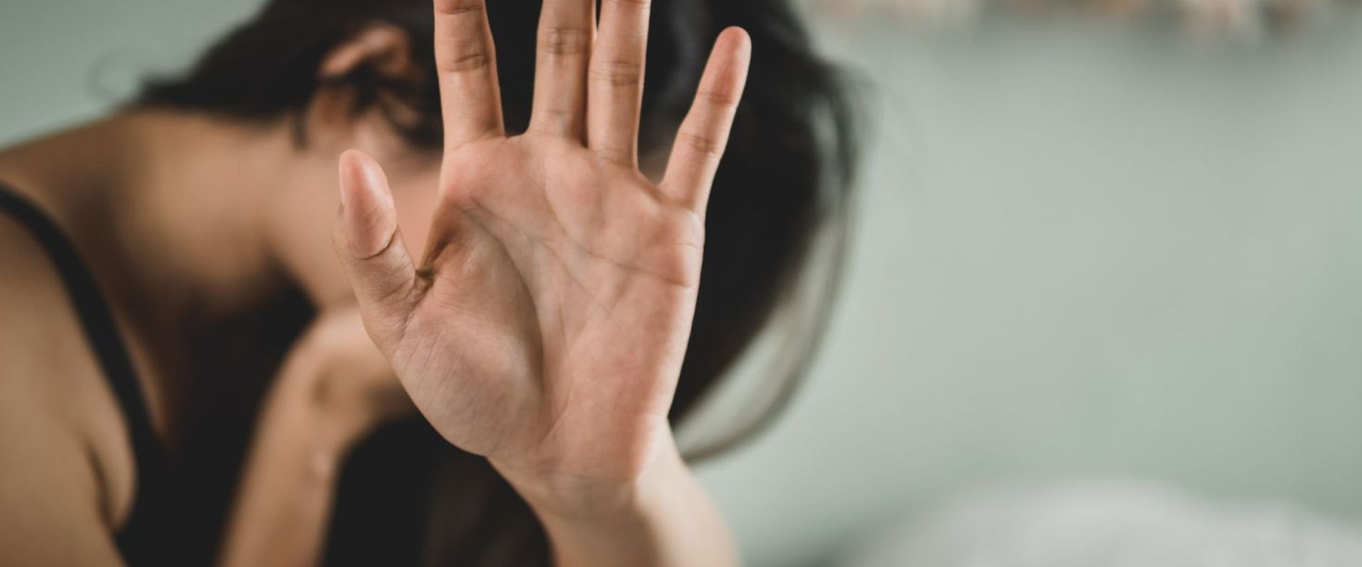 Domestic Violence Category